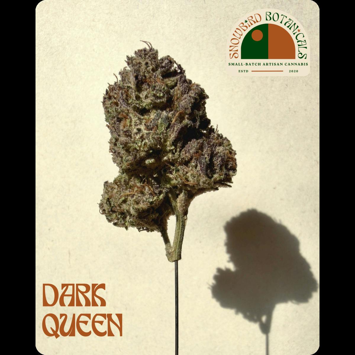Dark Queen Pr