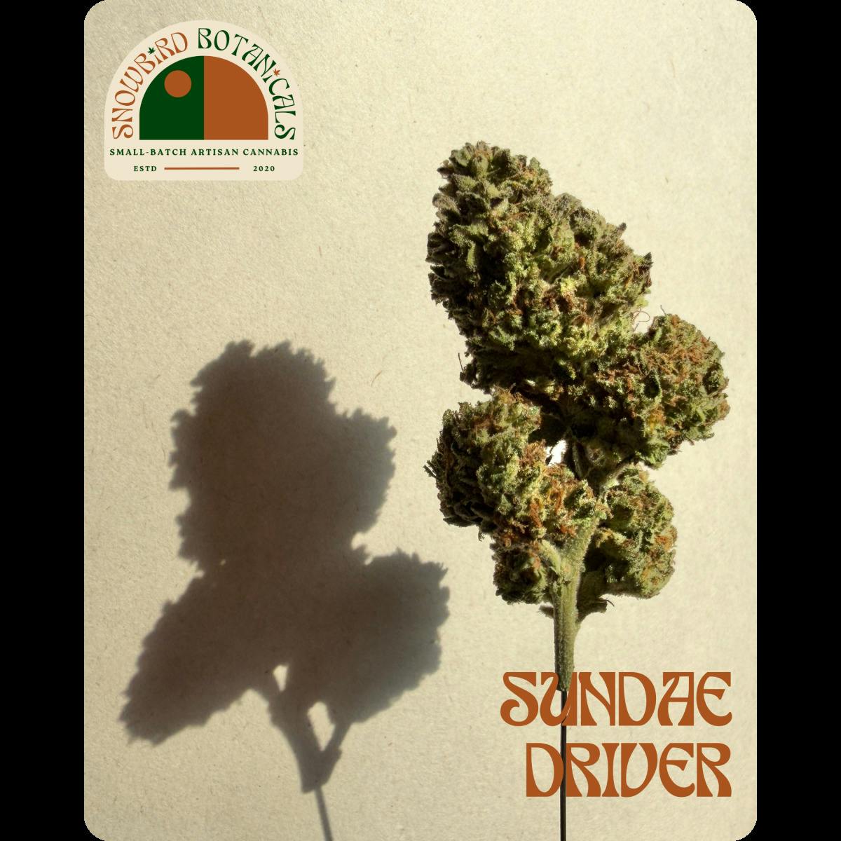 Sundae Driver Pr