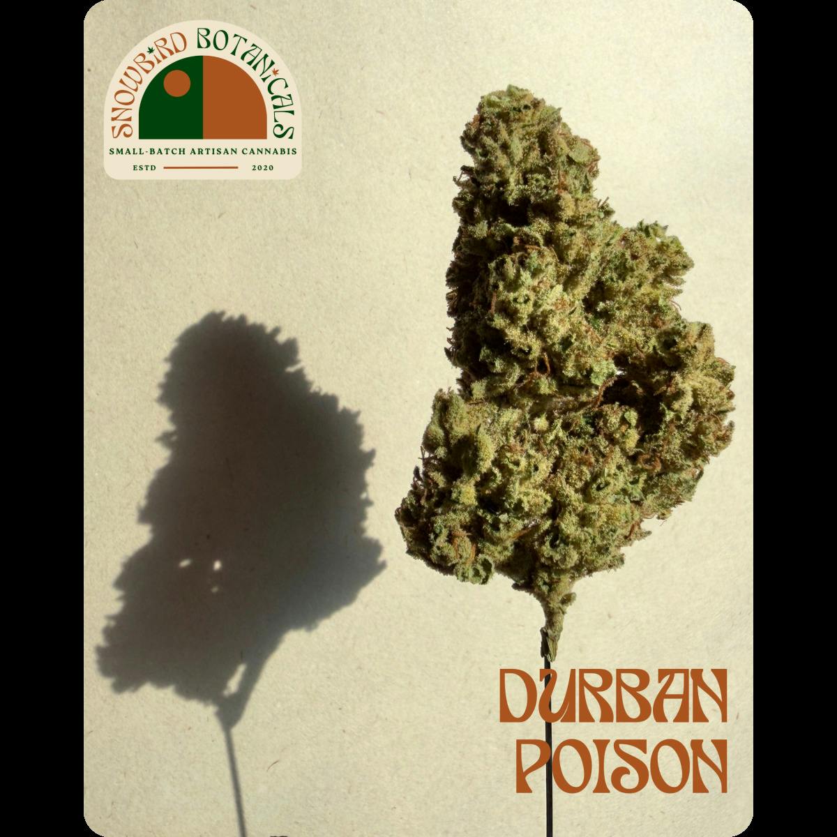 3.5g Artisan Flower - Durban Poison (hand trimmed)