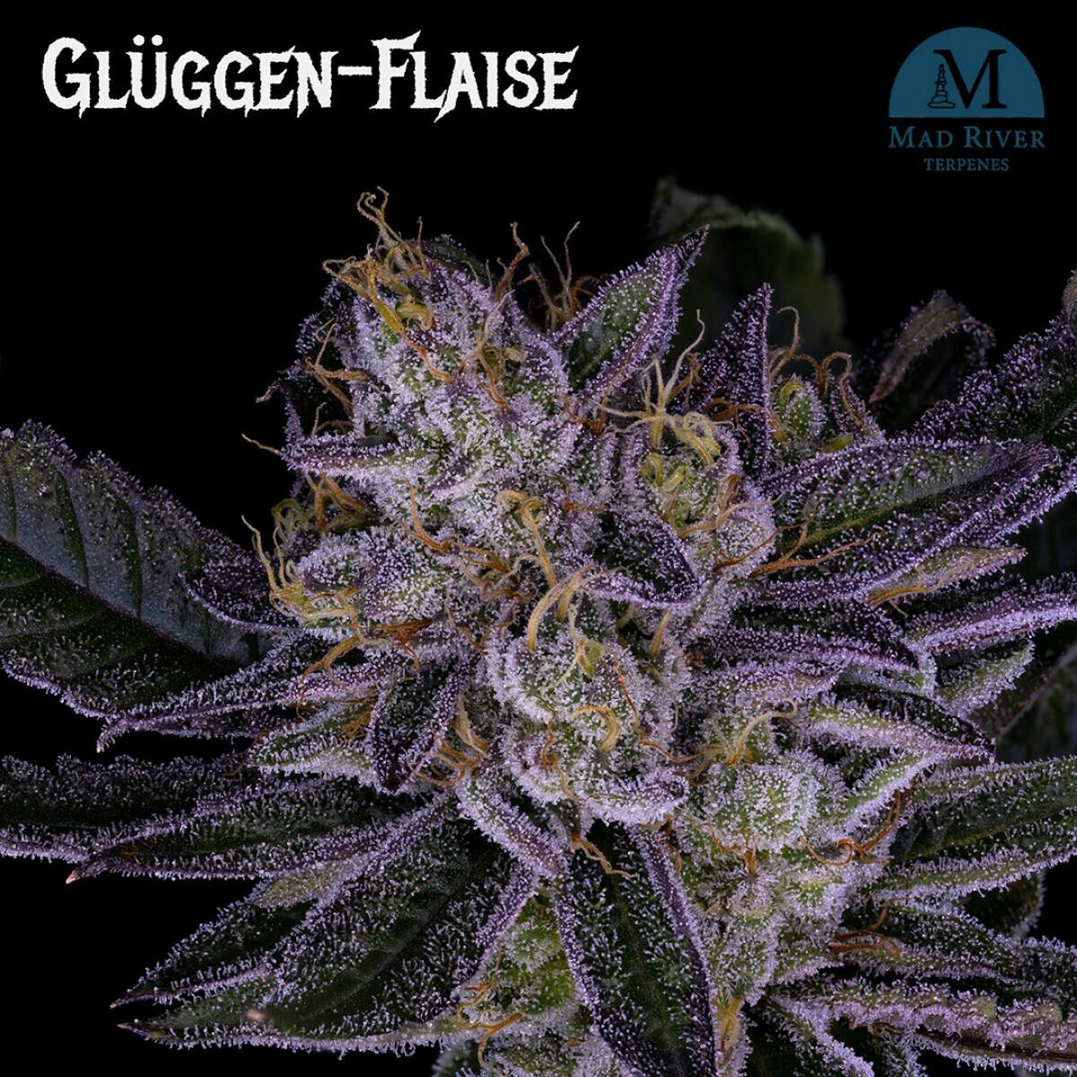 Gluggen-Flaise