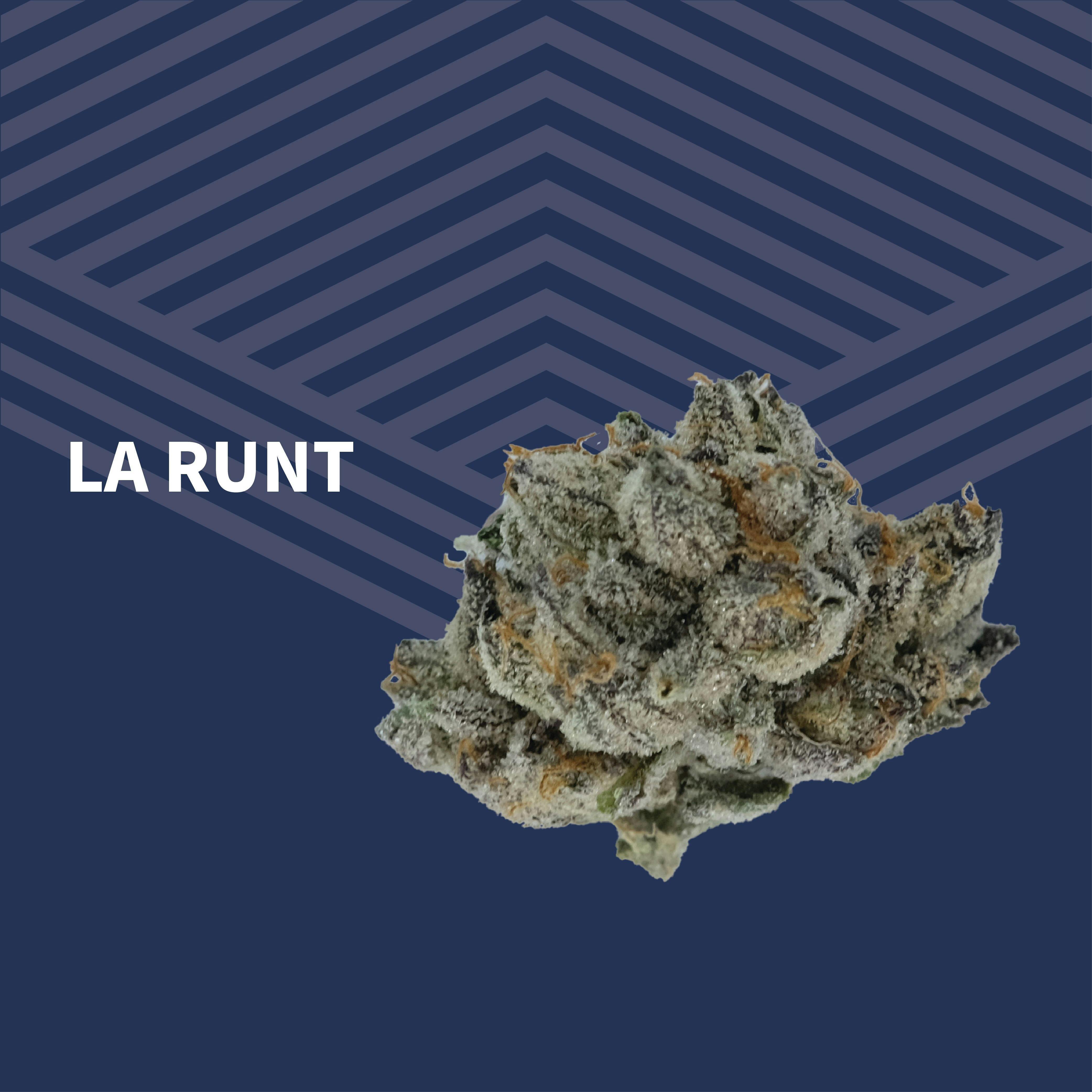 Value LA Runt at Pure Dakota Health of Bismarck