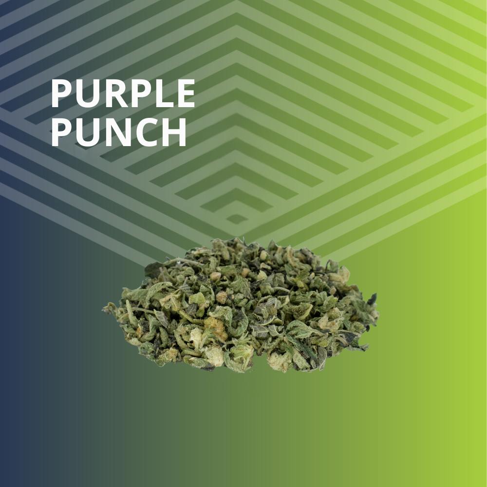 Purple Punch Trim