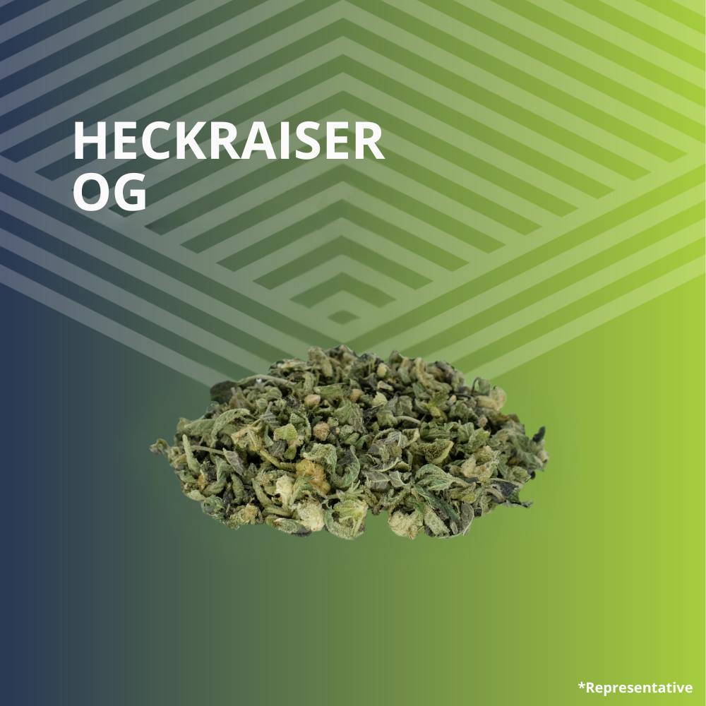 Heckraiser OG Trim