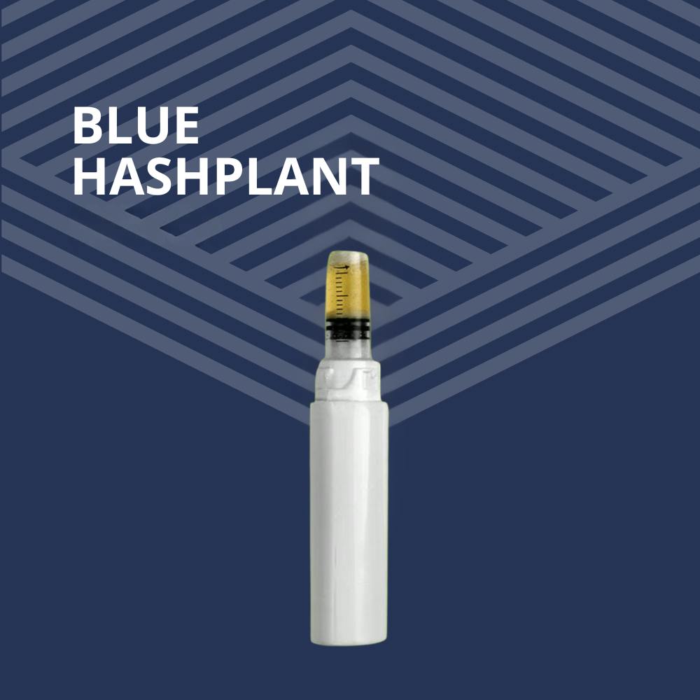 Blue Hashplant PDO at Pure Dakota Health of Fargo