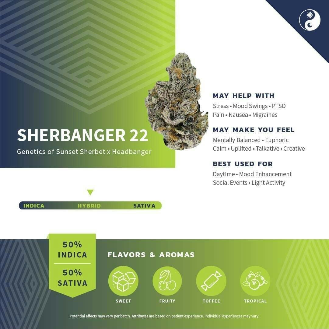 Sherbanger 22 Pre Rolls [2pk] at Pure Dakota Health of Bismarck
