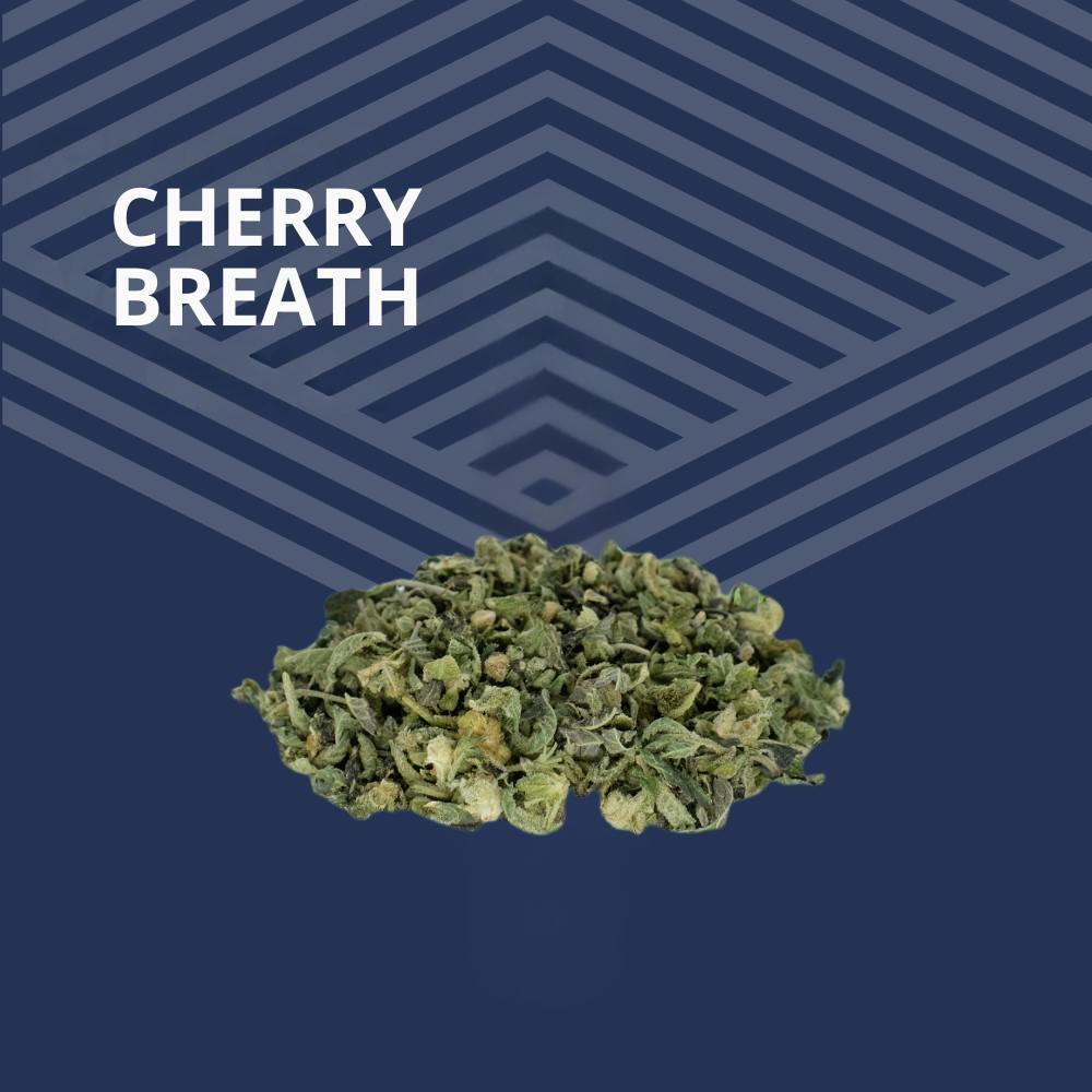 Cherry Breath Trim