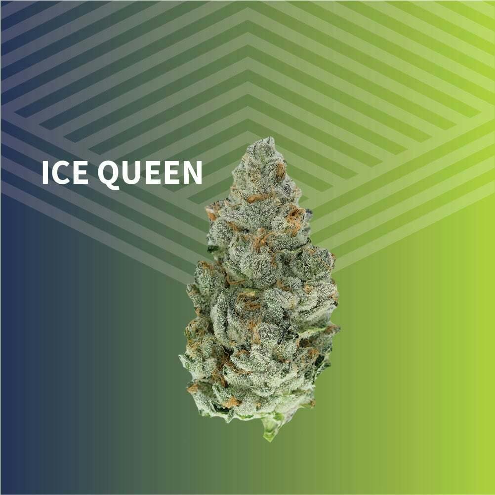 Ice Queen