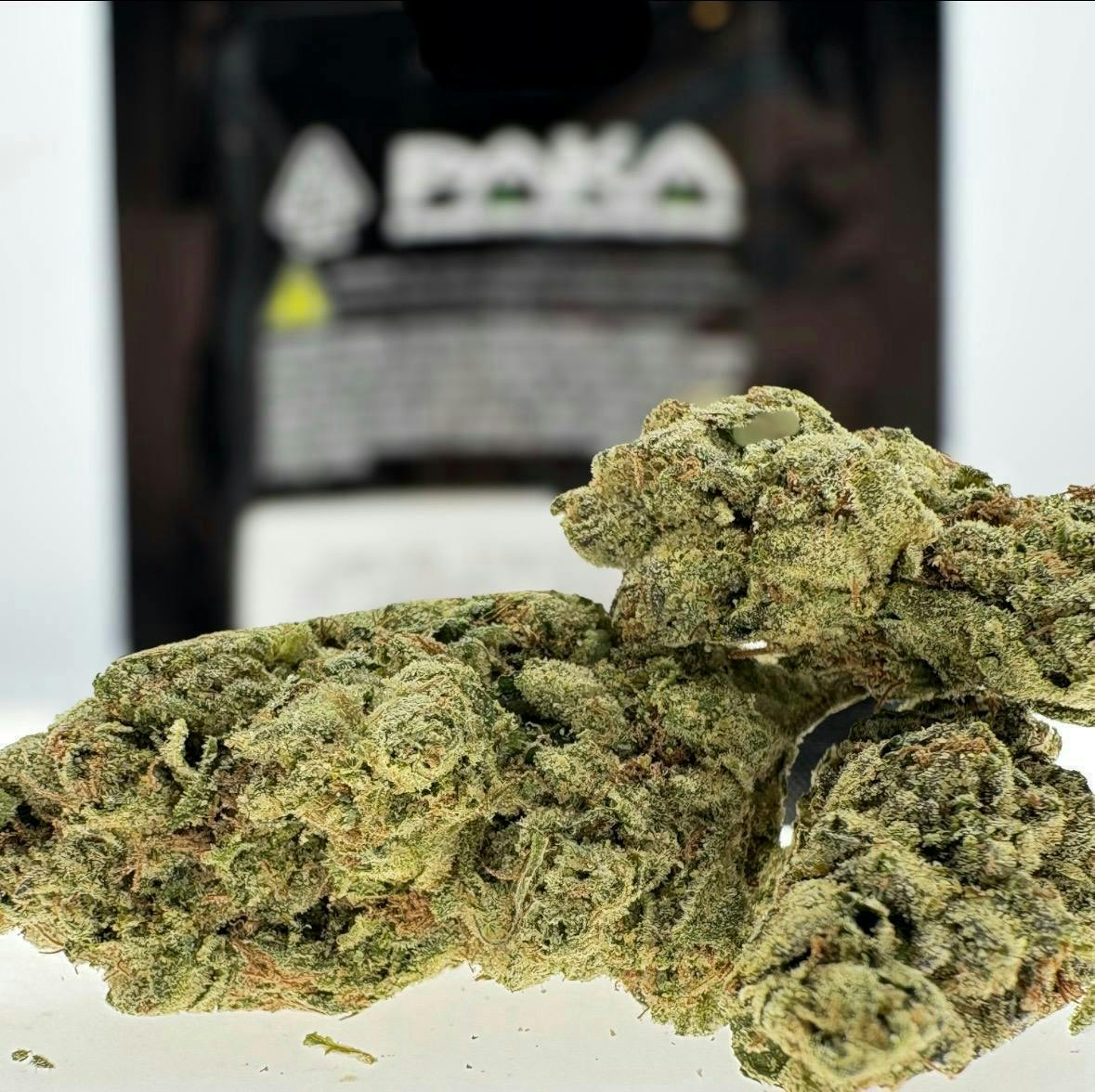 Paka: Jungle Cake