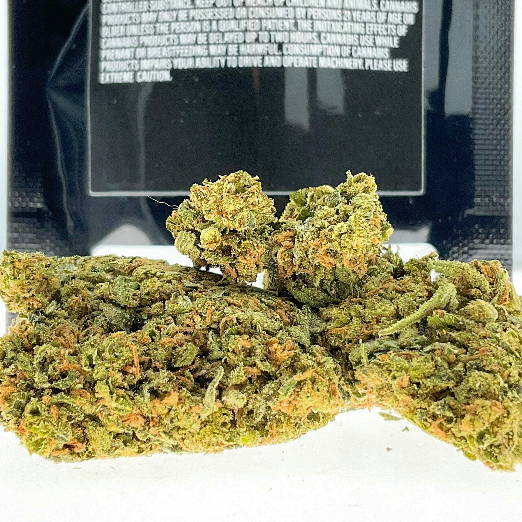 Paka: Jack Herer