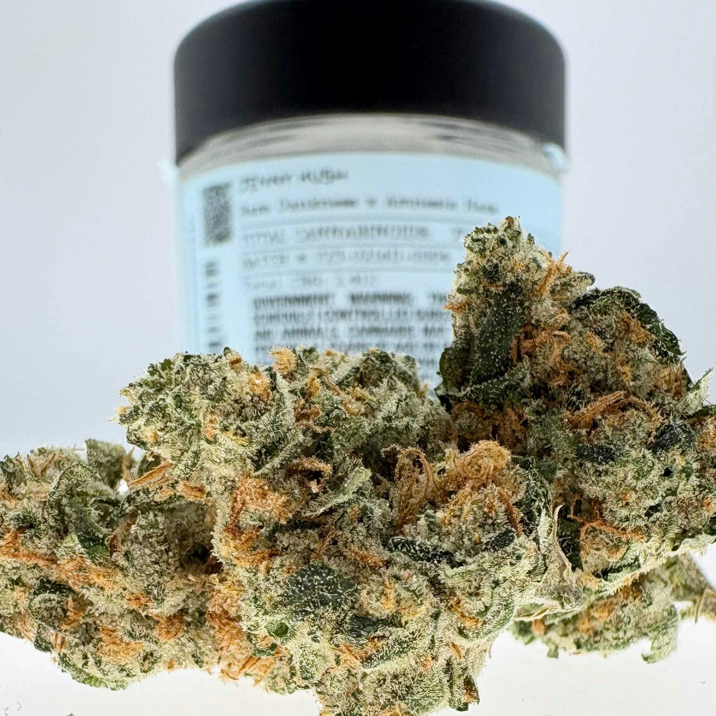Daze Off - Jenny Kush: 3.5 grams