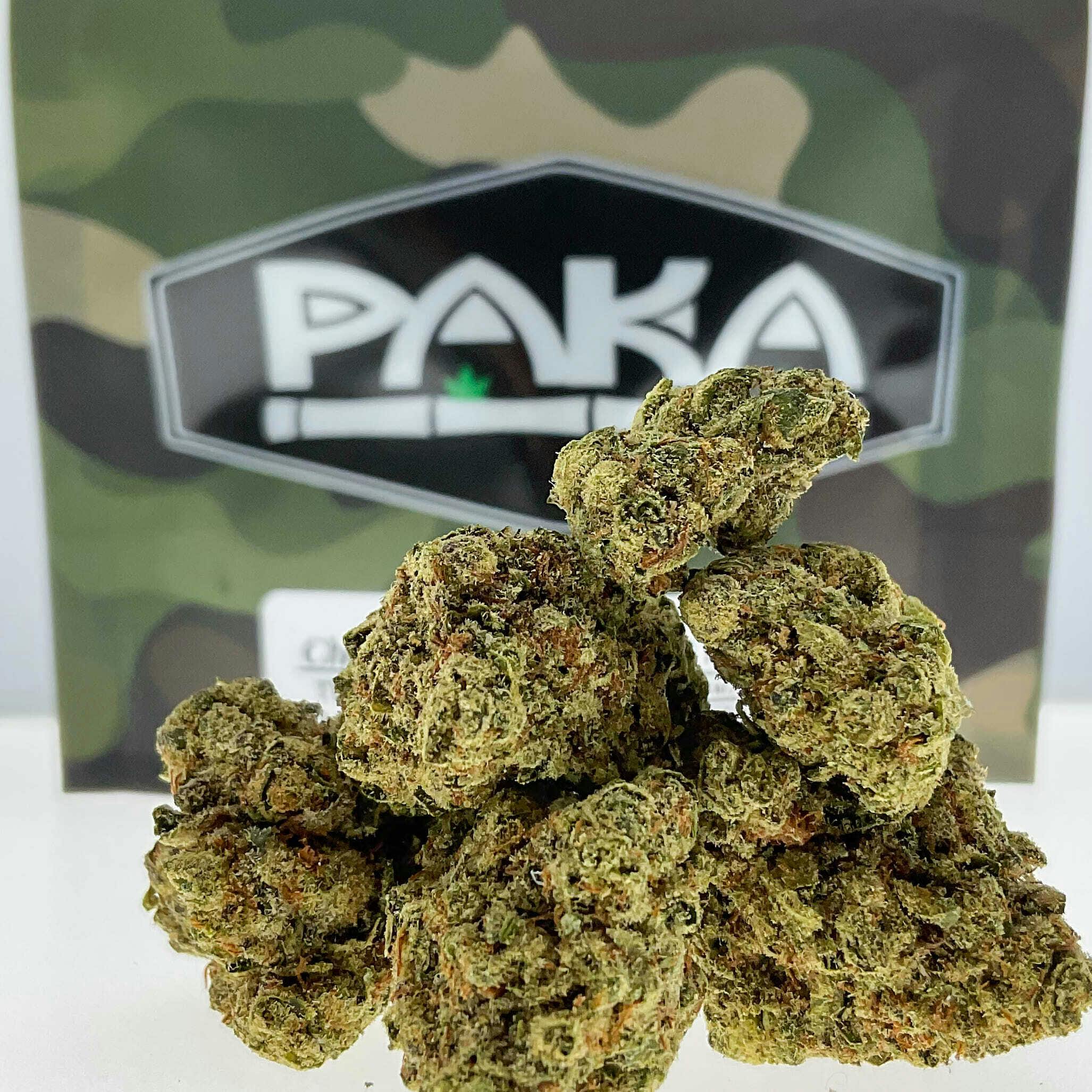Paka: Cheetah Piss