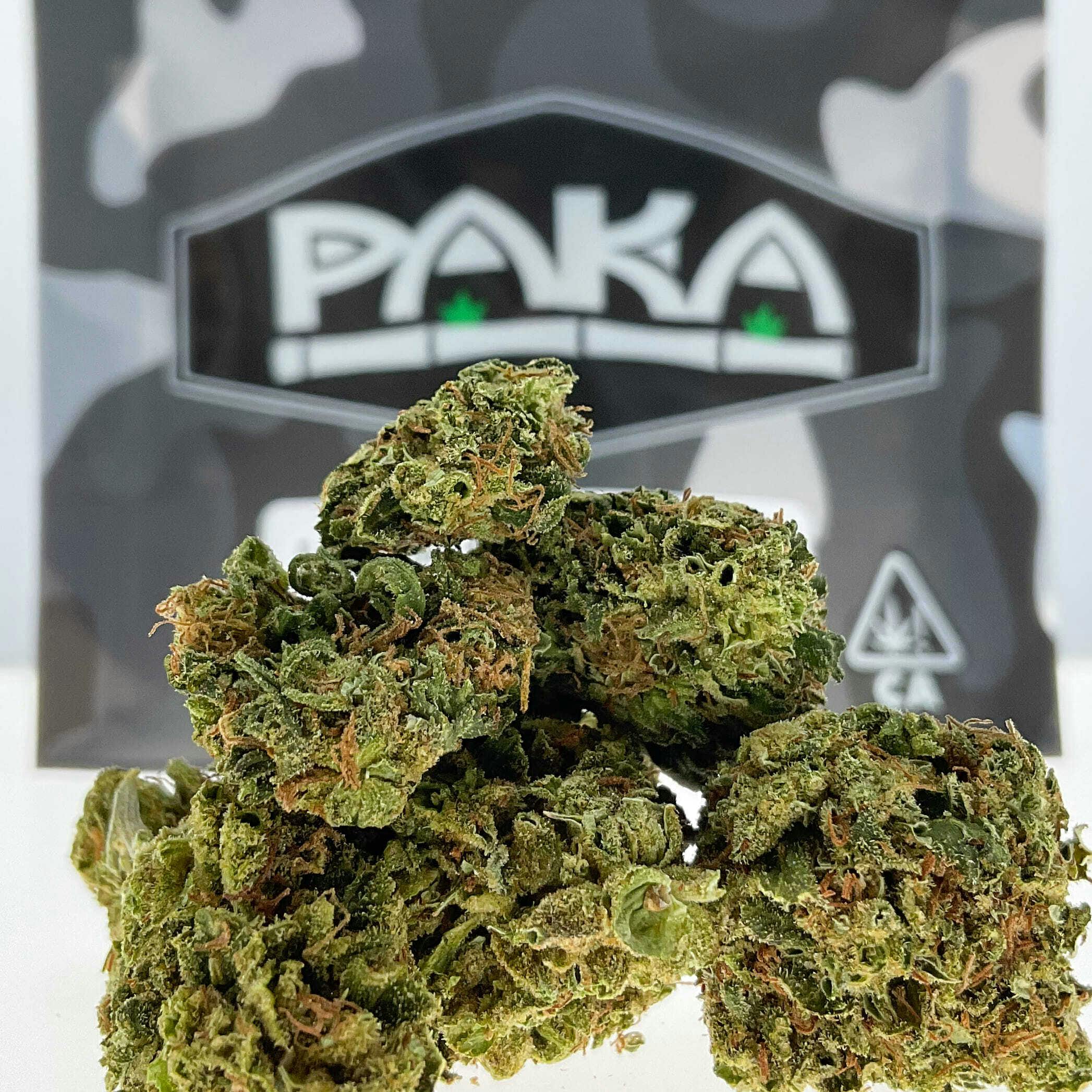Paka: Lemon Jack