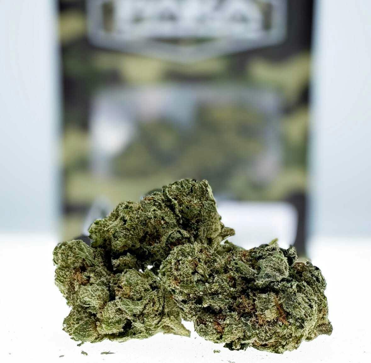 Paka: Zkittles