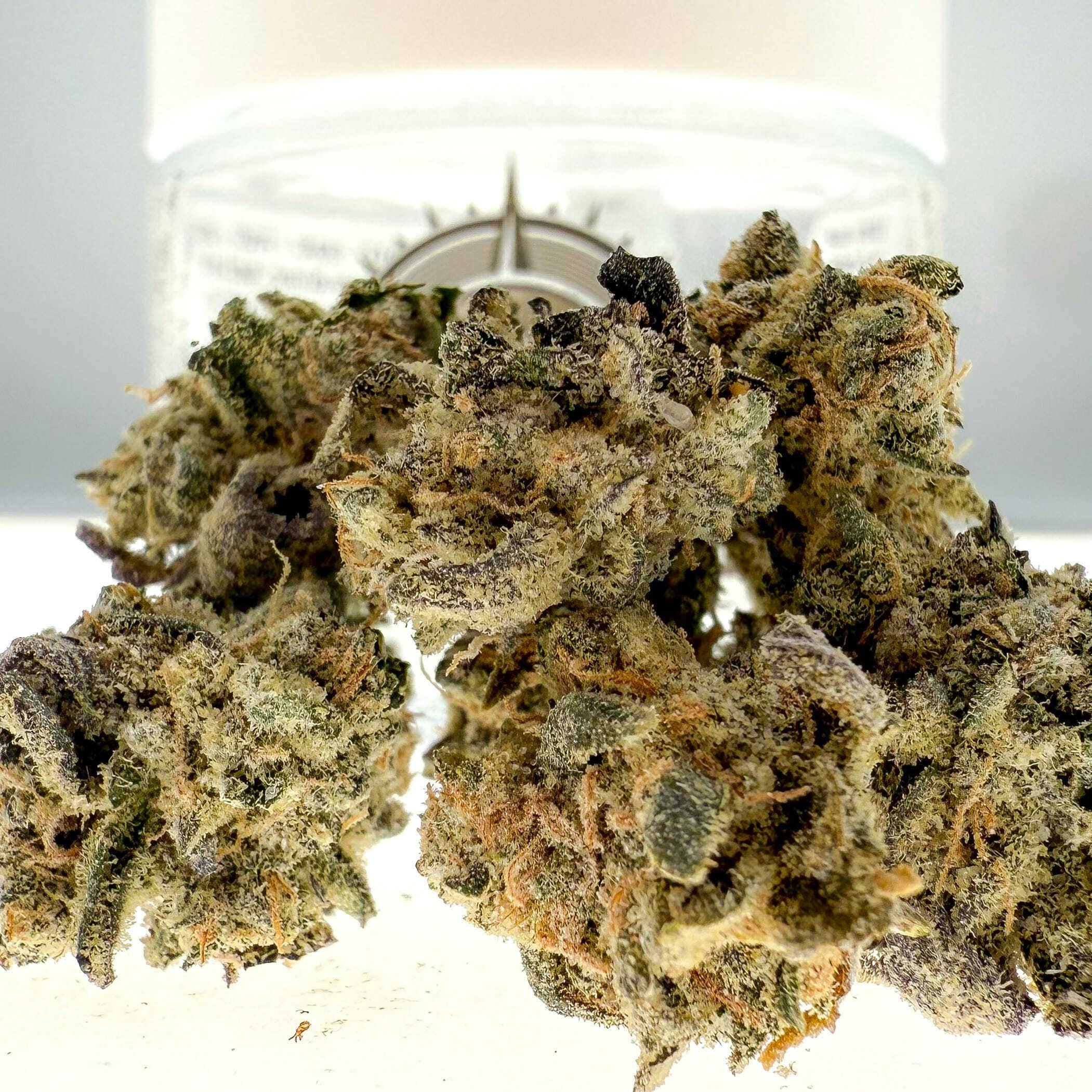 Black Pearl - Purple Haze: Diamond Coated Smalls - 3.5 grams