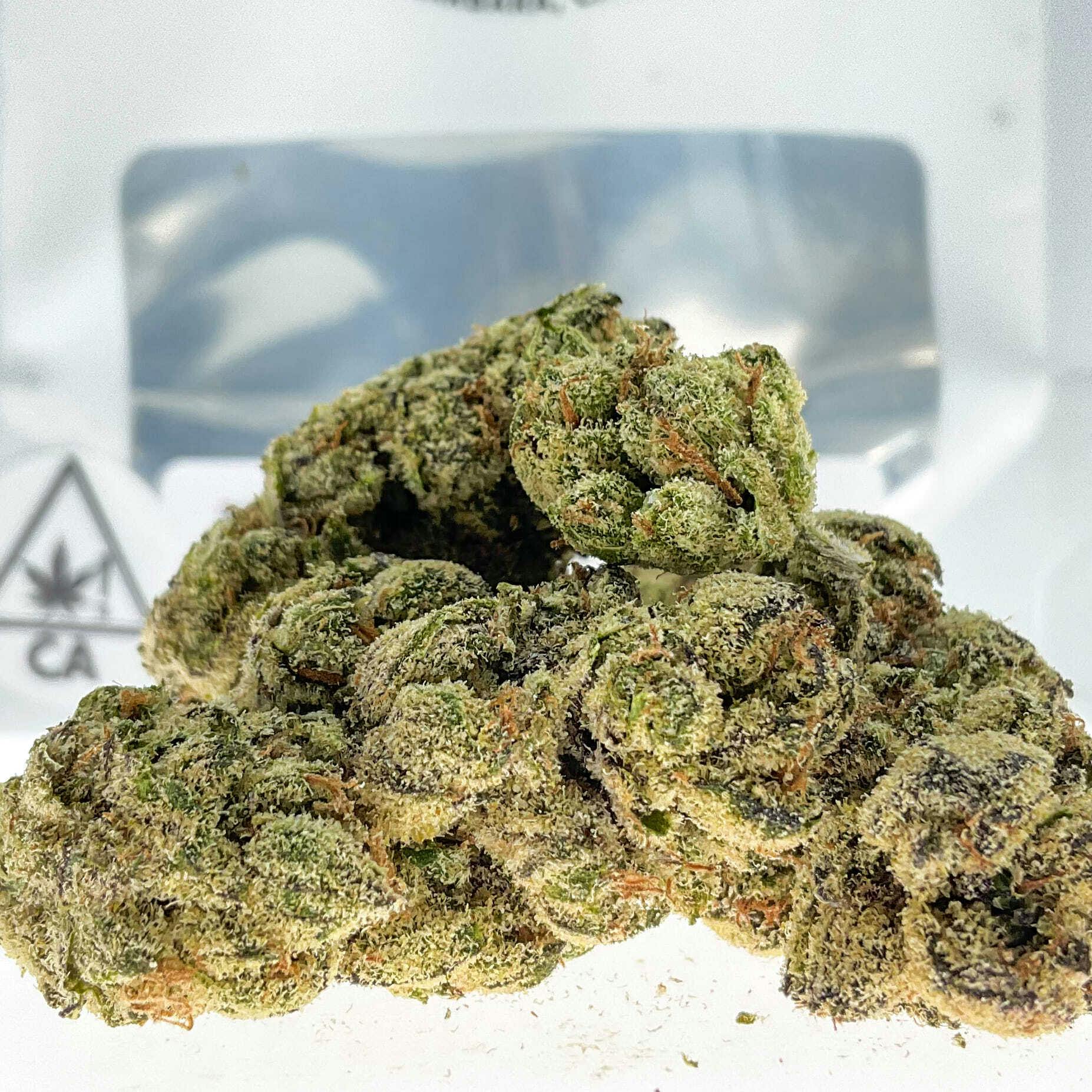 Canopy: Blueberry Caviar - 14 Items