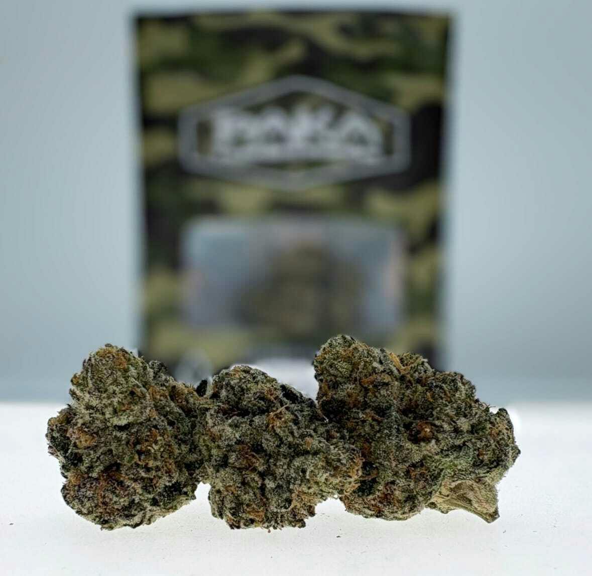 Paka: Animal Cookies - 14 Items