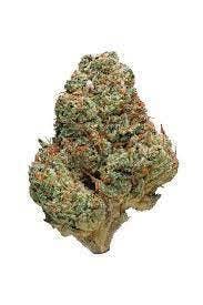 Connoisseur Shelf - MAC (H)