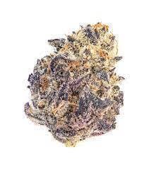 Connoisseur Shelf - Oreoz (I)