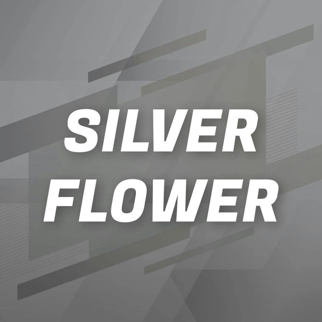 Silver Shelf - Soup (S)