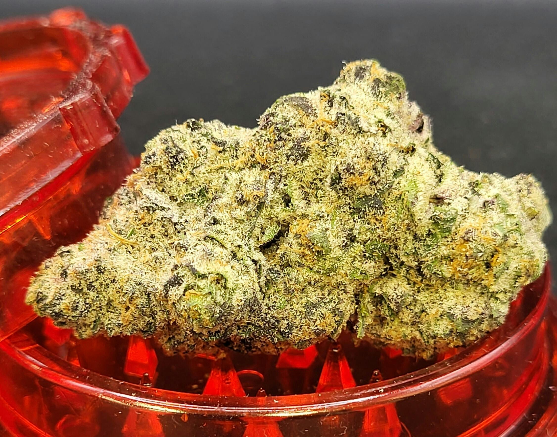 Top Shelf Shelf - QuickSand (H)