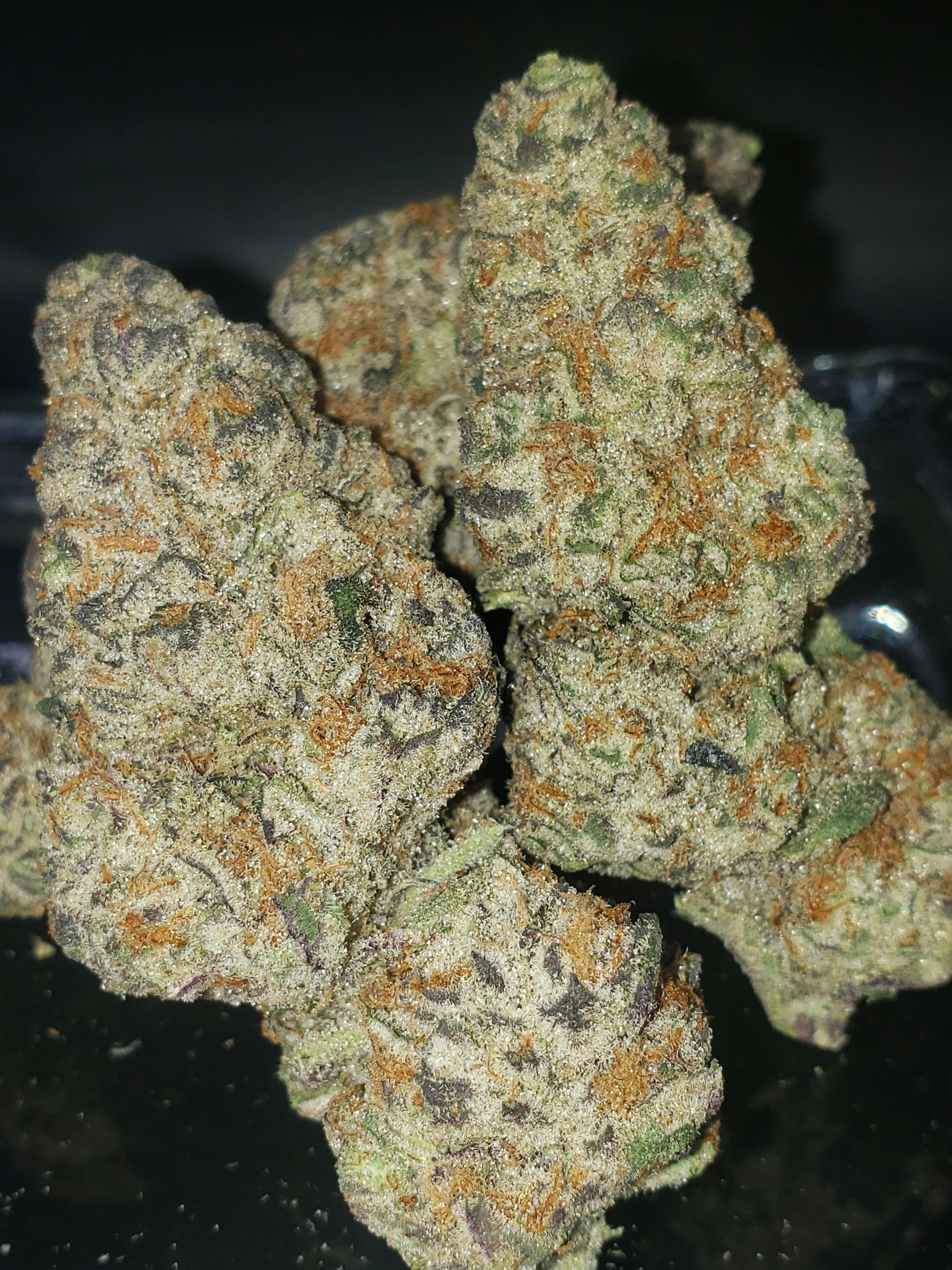 Top Shelf - Suga Baby (I)