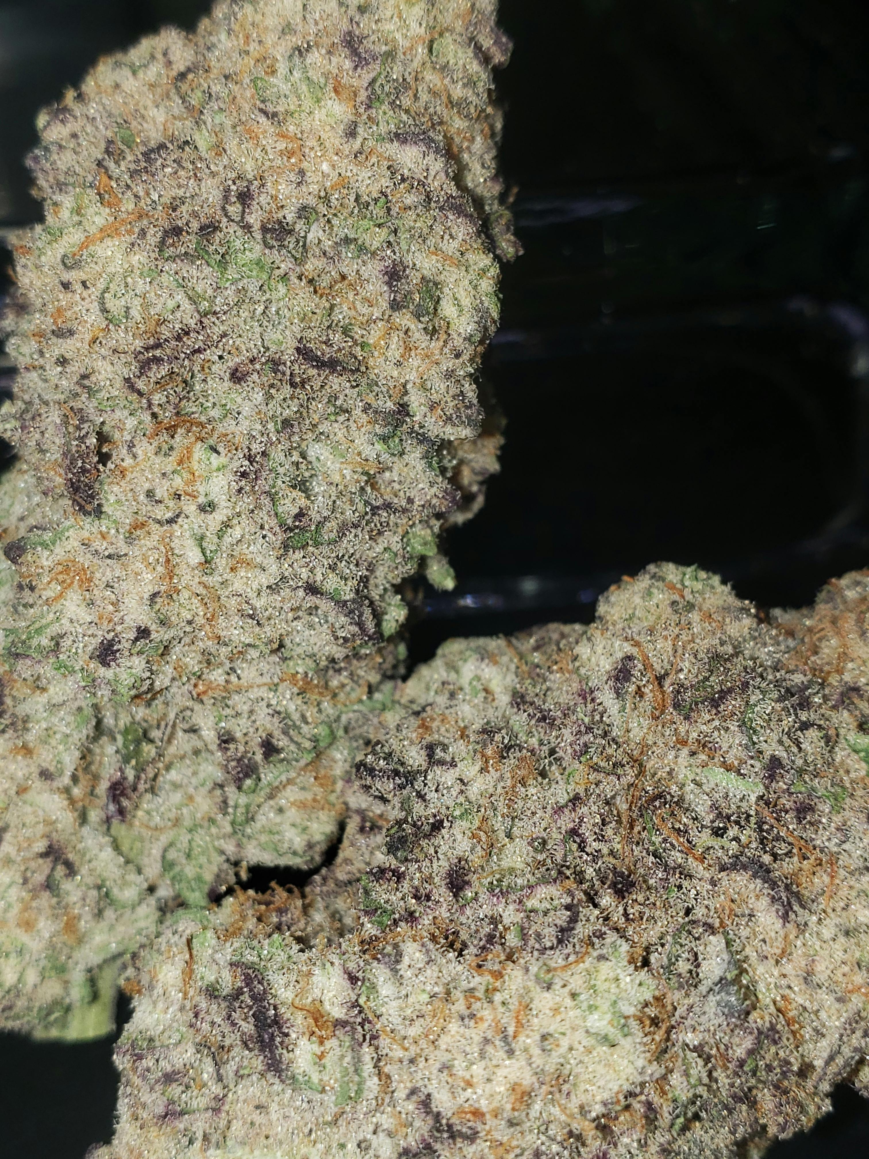 Top Shelf - Monica Lewinsky (H)