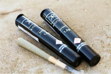 Kaviar - Infused Pre Roll - Zonkey Sudz (H)