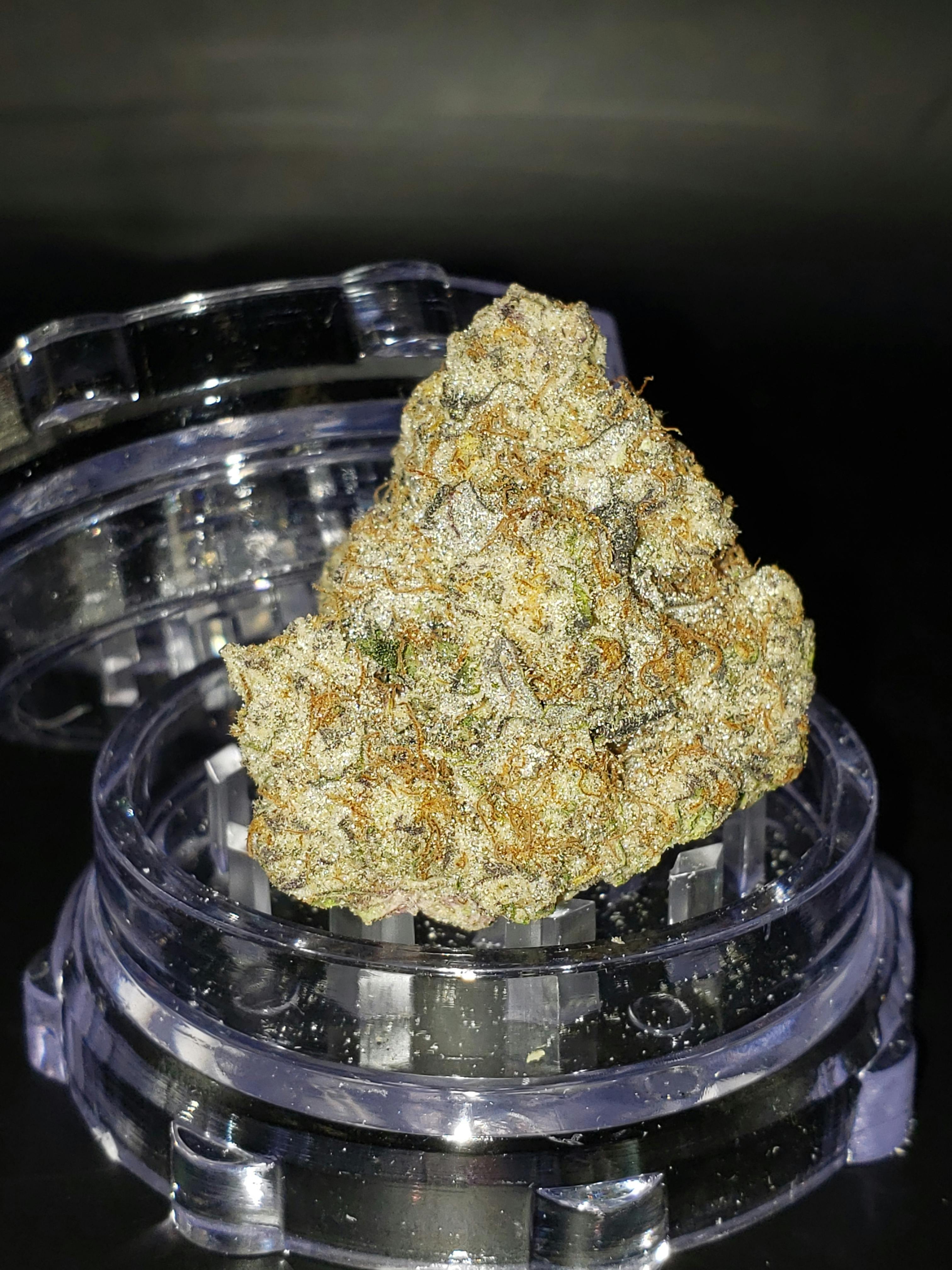 Connoisseur Shelf - Pink Animal Mints (H)