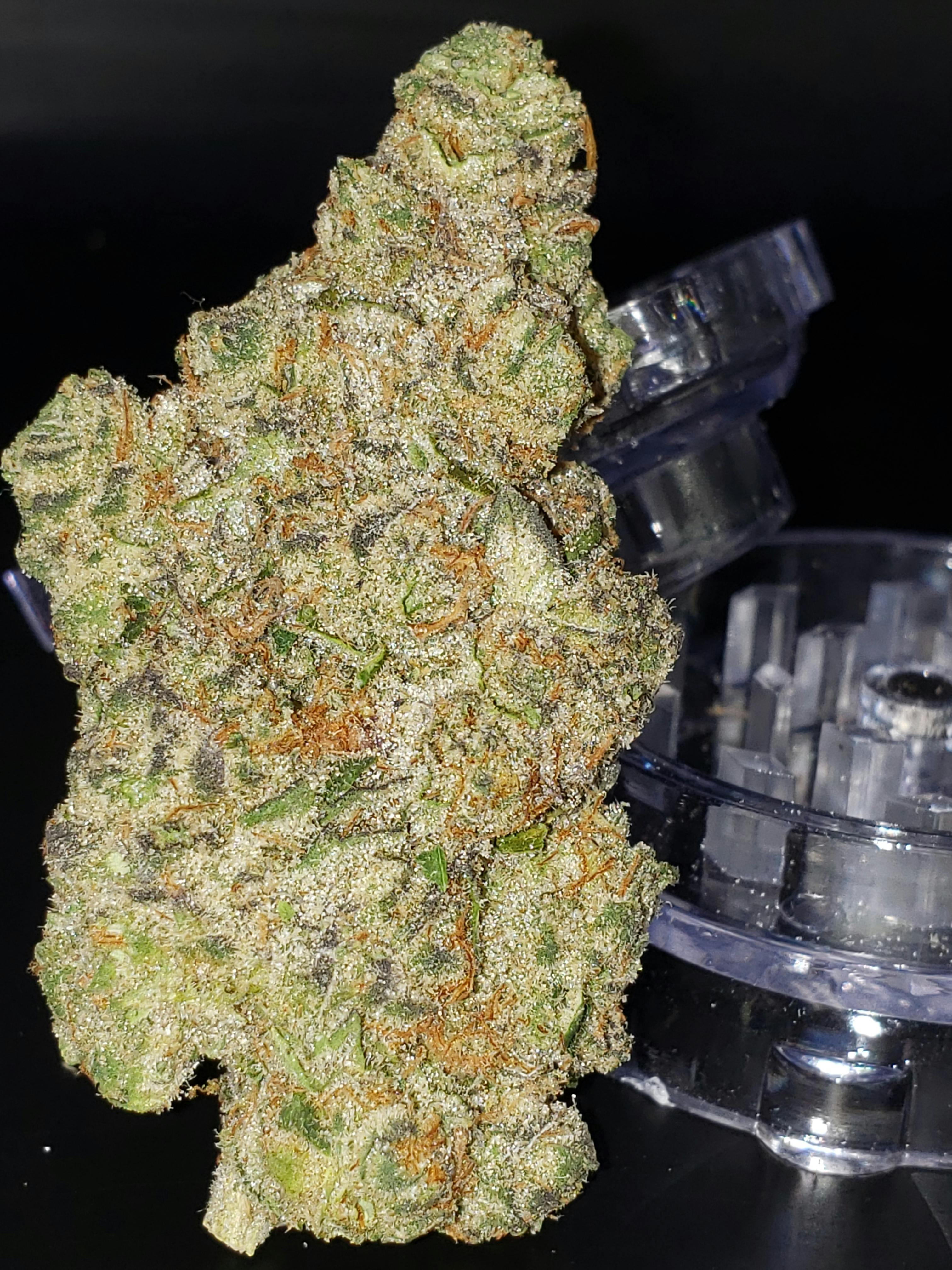 Premium Shelf - Pink Runtz (H)