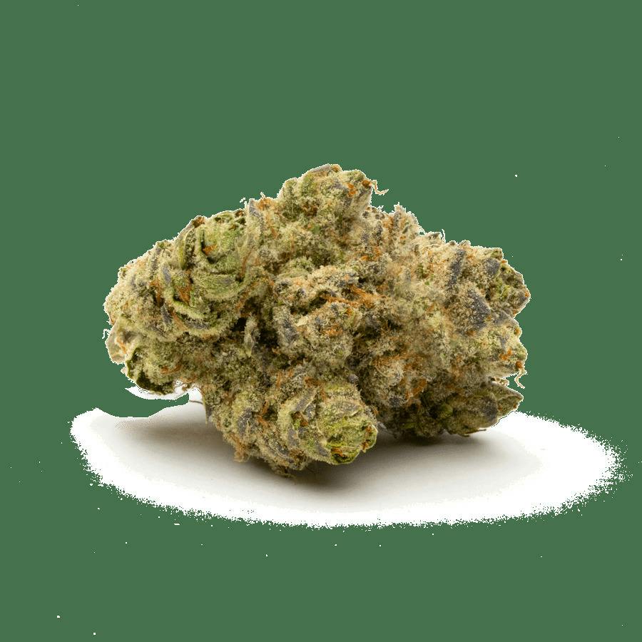 Premium Shelf - Sherbet Cream Pie (I)