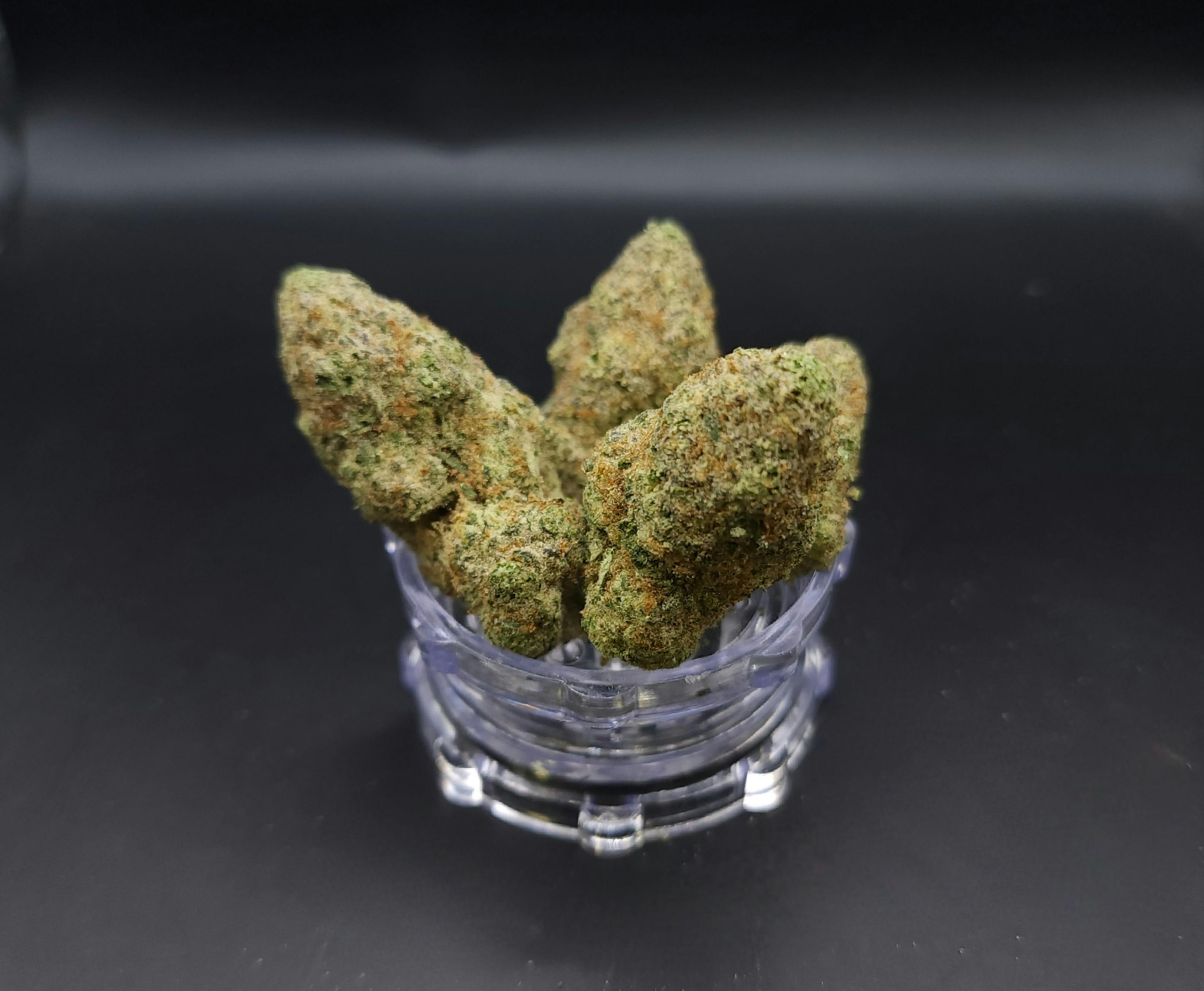 Connoisseur Shelf - Block Berry (S)