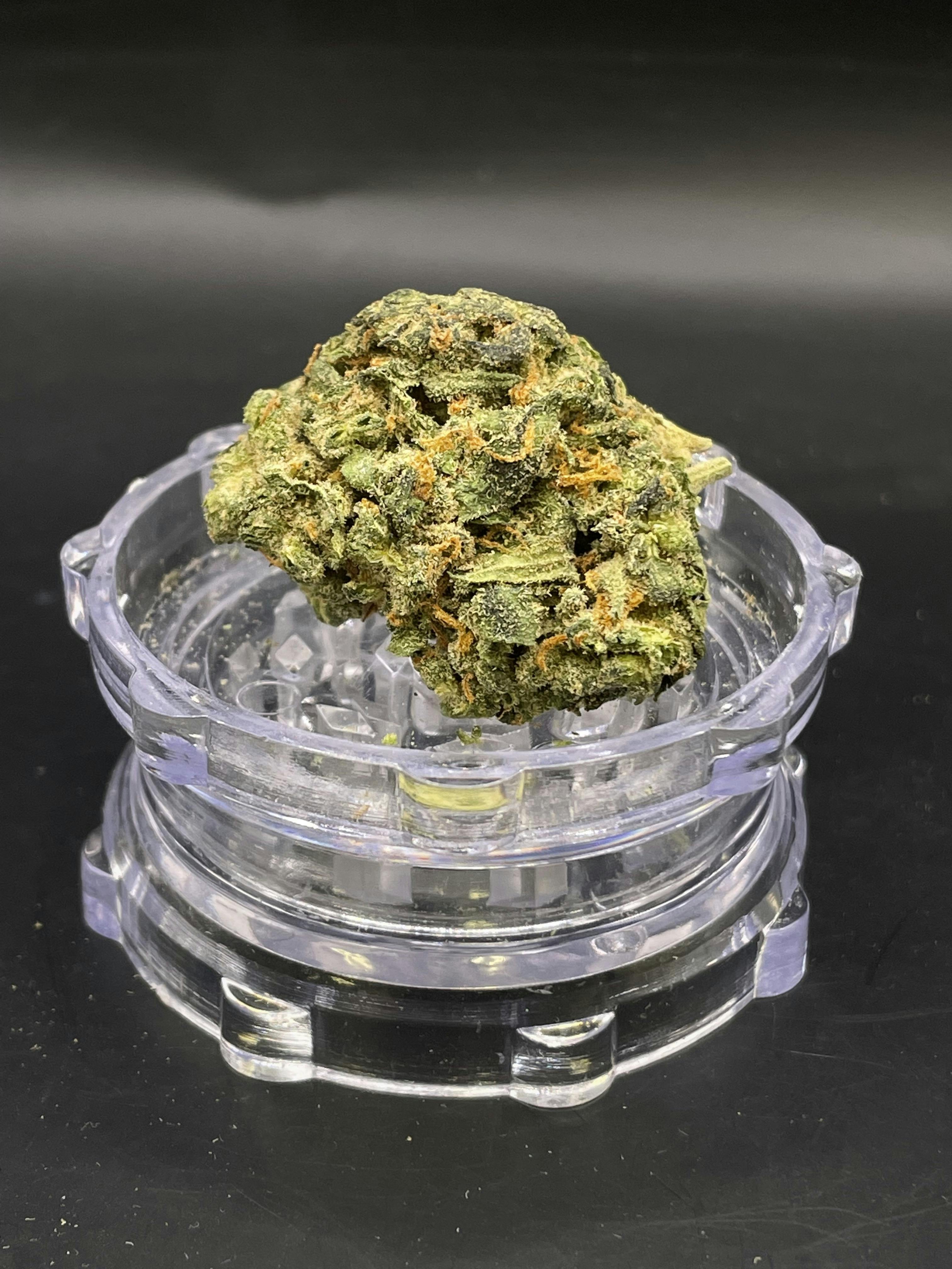 Special Shelf - Durban Kush #1 (S)