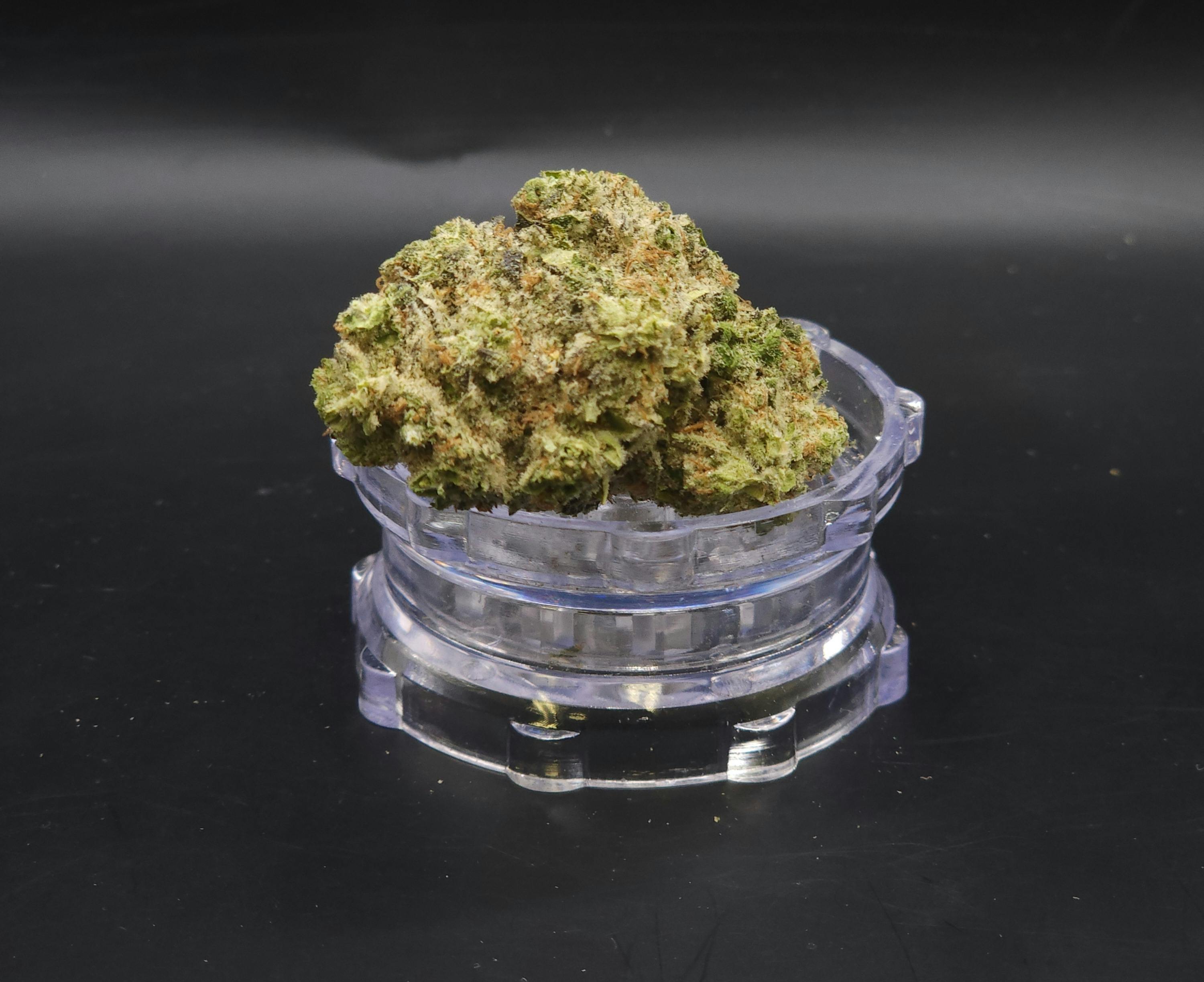 Premium Shelf - Lilac Diesel (H)