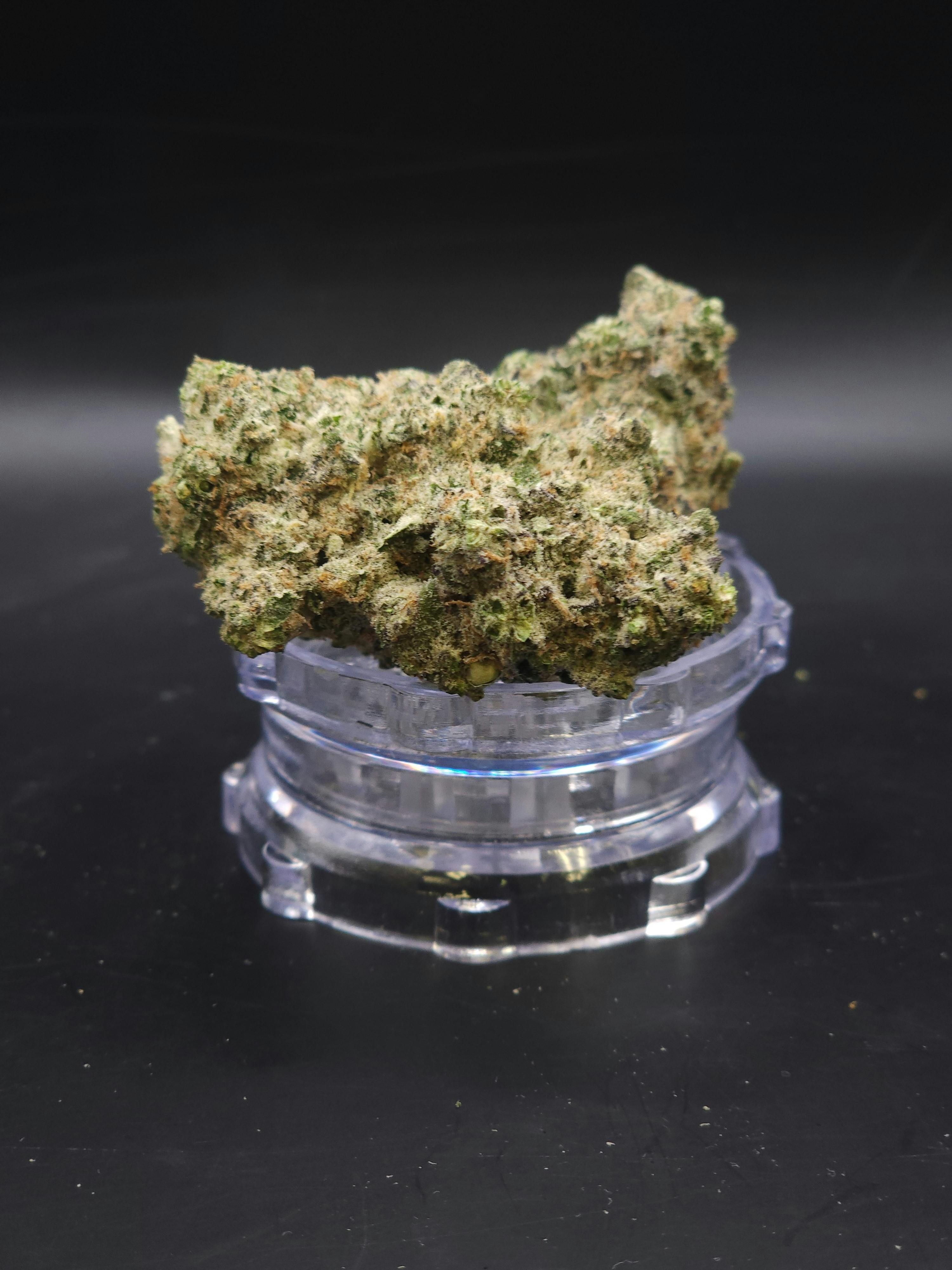 Connoisseur Shelf - Lemon Banana Sherbet (S)