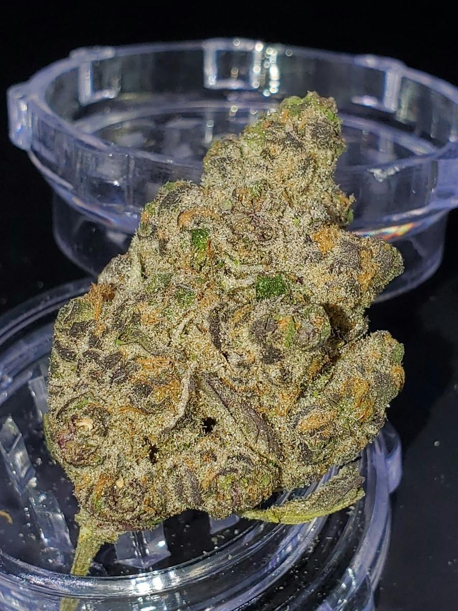 Premium Shelf - Trop Cherry (S)