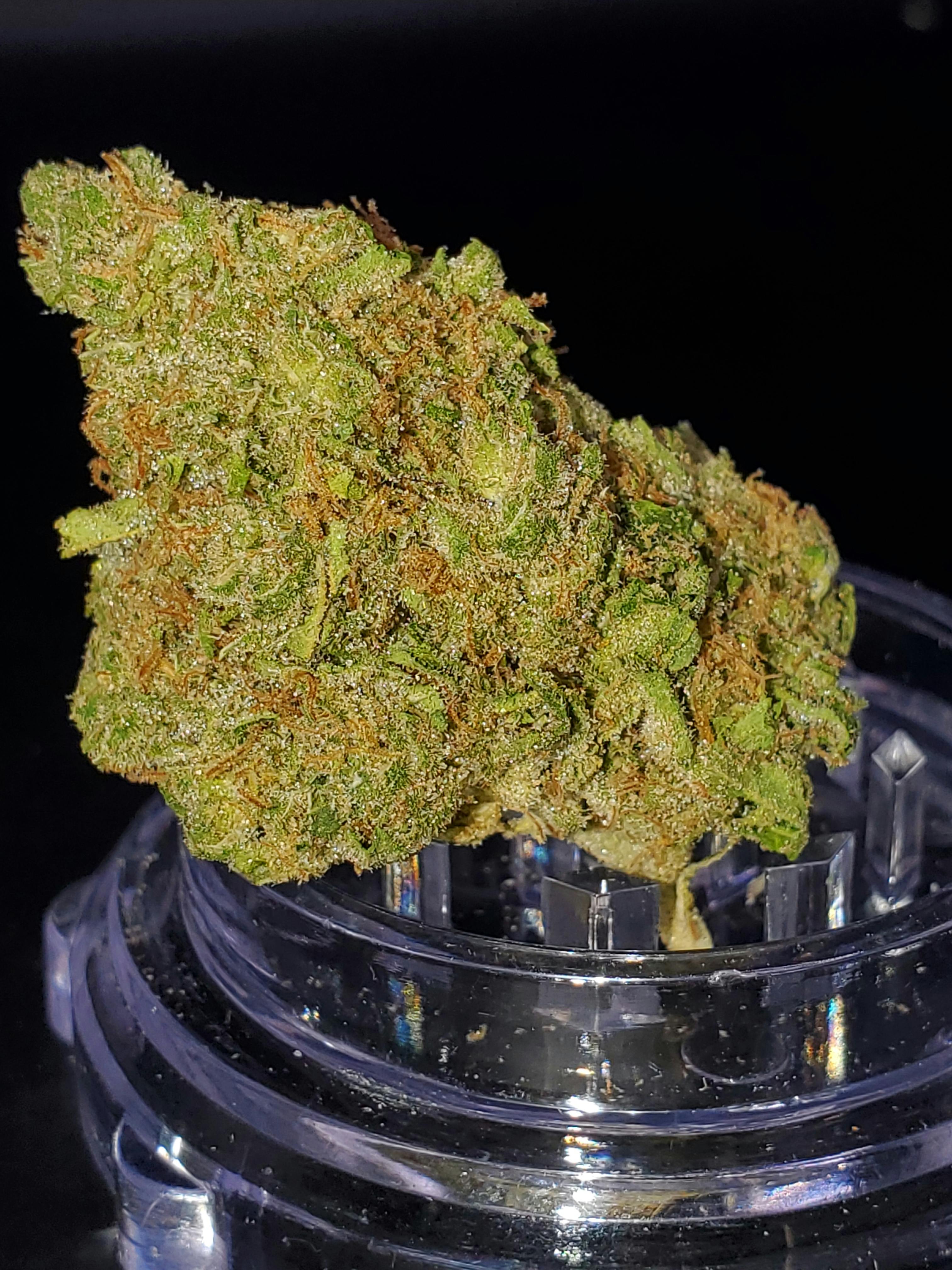 Premium Shelf - Black Widow (S)