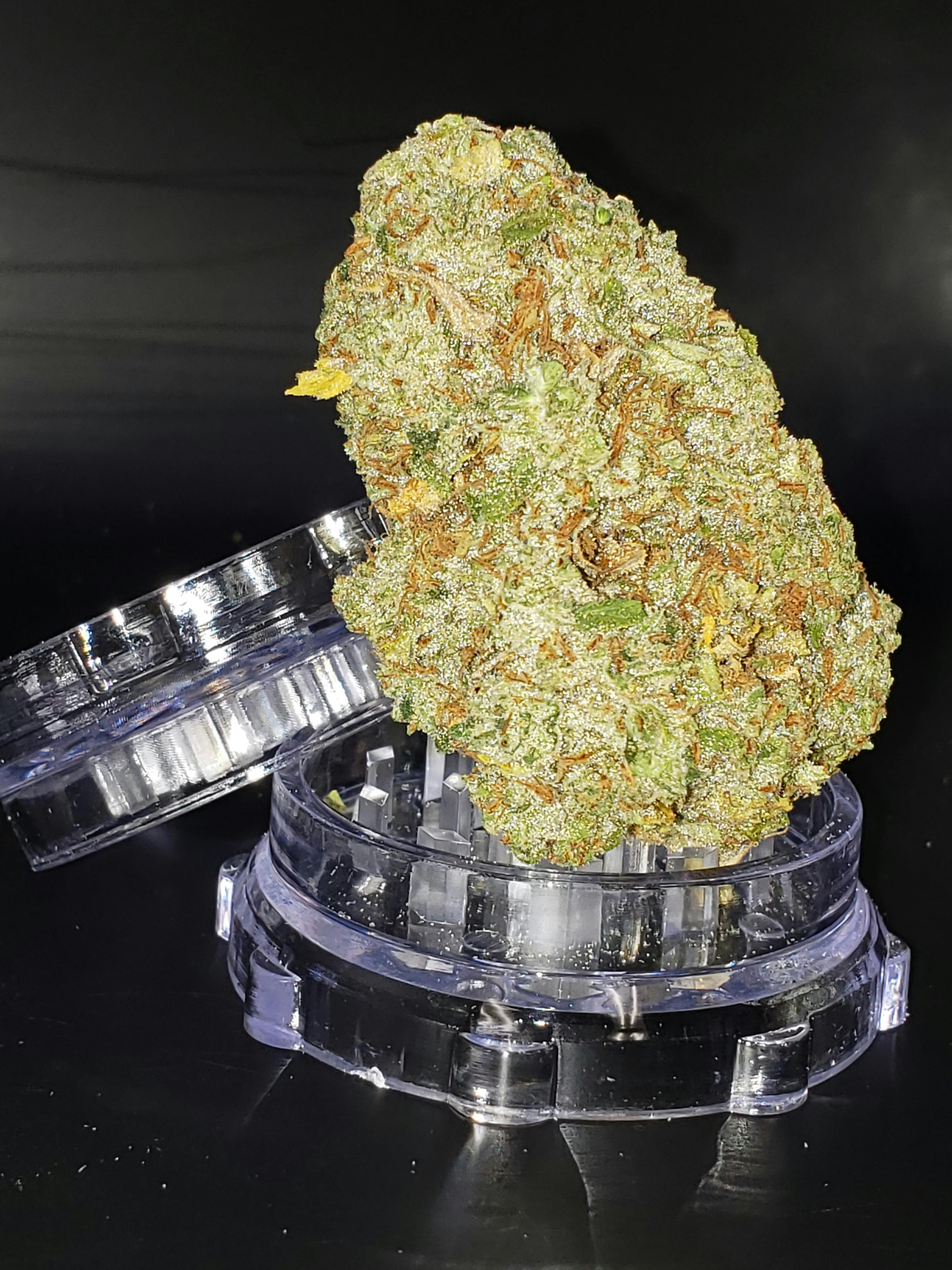Top Shelf - Lemonchello (S)