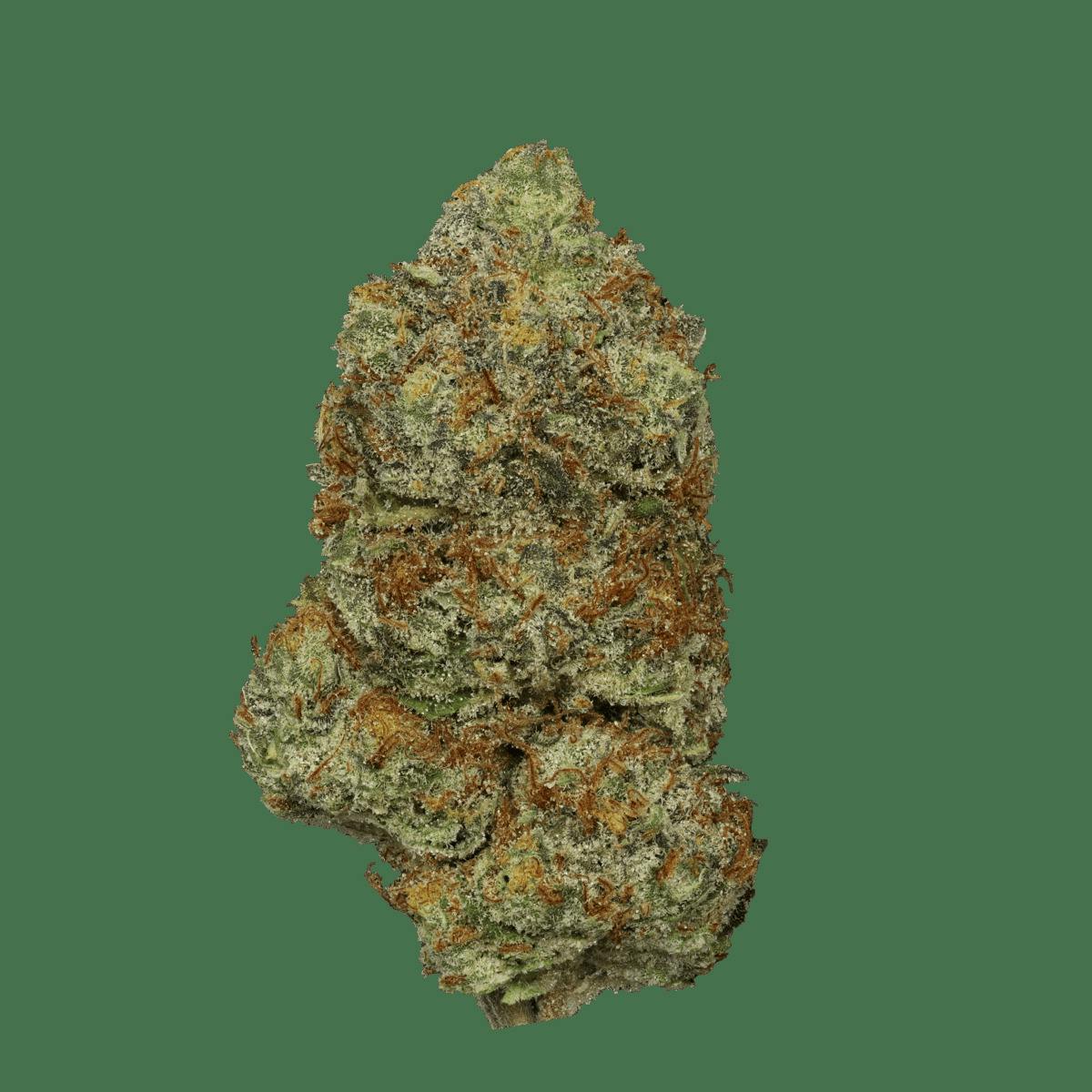 Premium Shelf - Tropicana Cherry (S)