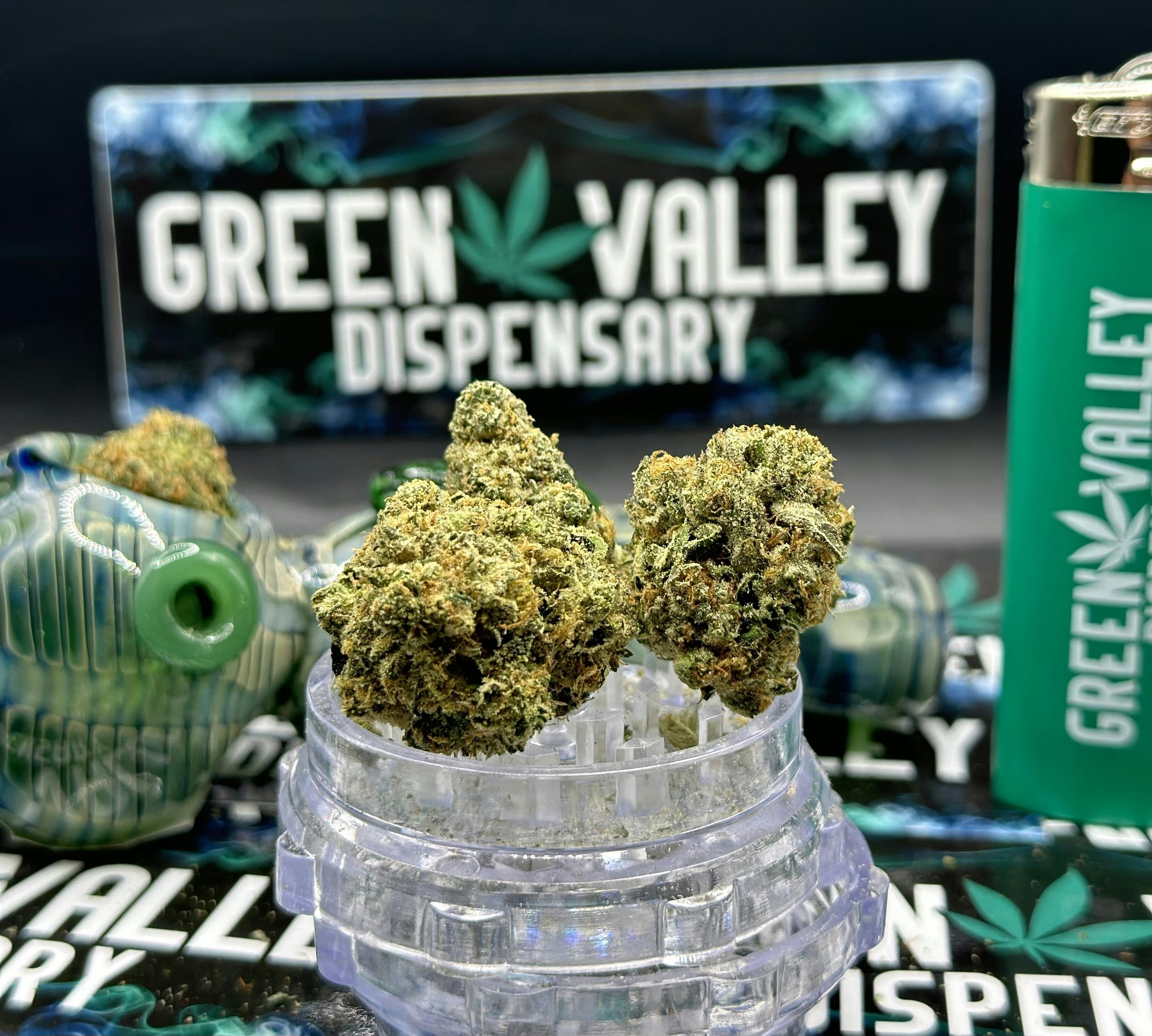 Connoisseur Shelf - Jet Fuel Gelato x Triangle Kush (I)