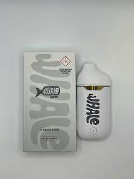 Whale - AIO - Star Berry (H)