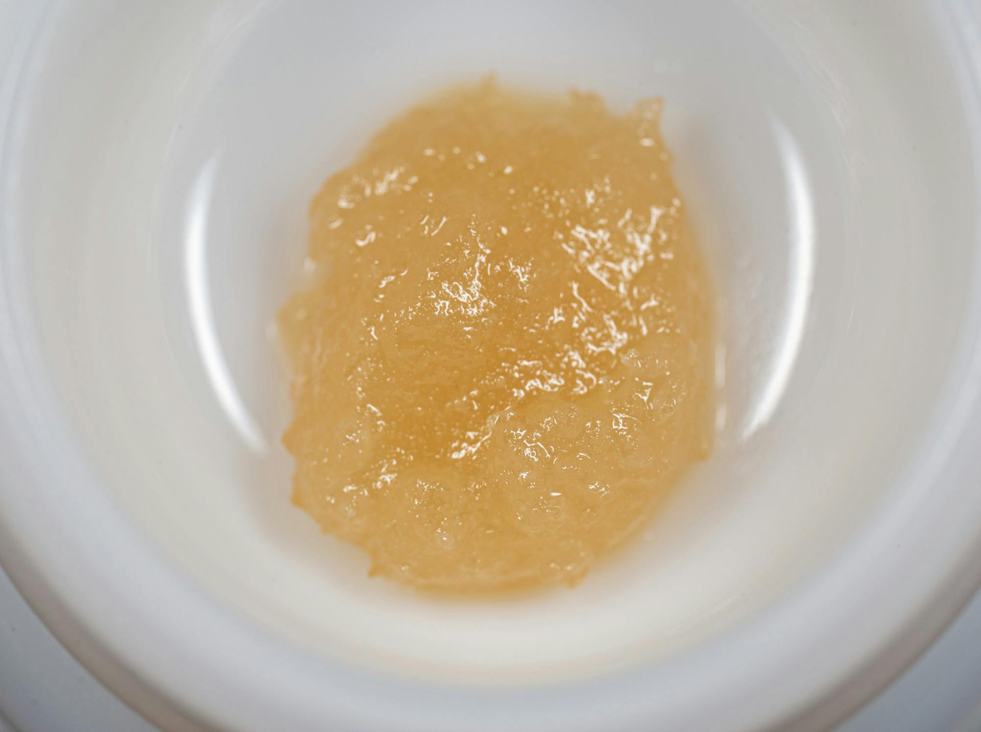 CSC - Sugar - Trop Slushee (H)