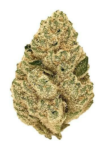 Top Shelf - Candy Bezels (H)