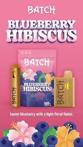 Batch - Cartridge - Blueberry Hibiscus (H)