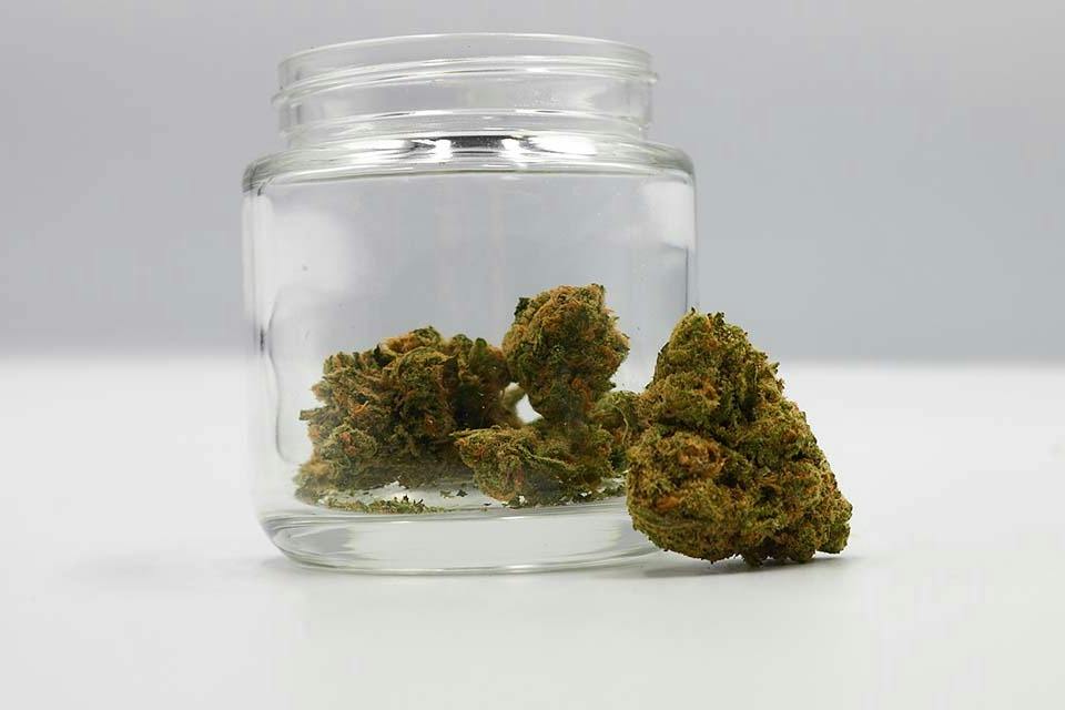 Alabama Royal | Blue Dream 1g