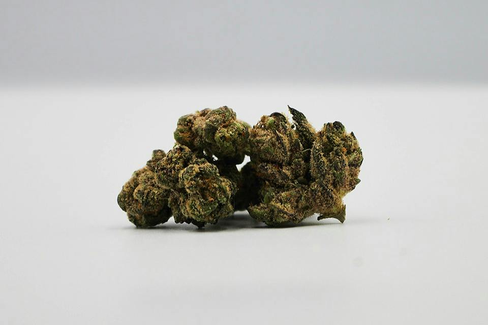 Diplomat | Sherb Crasher 3.5g
