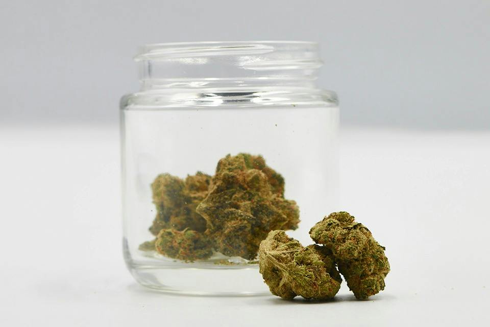 Pepperlane | Amnesia Haze 1g