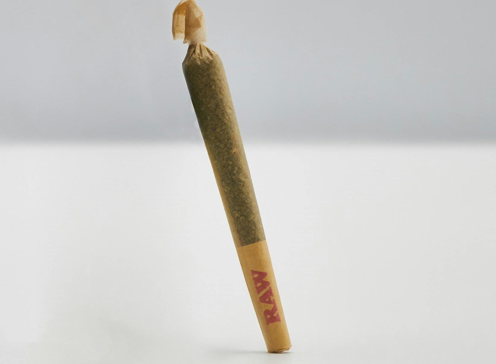 Diplomat | Kosher White Truffle Preroll 1g