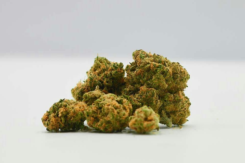 Diplomat | THC Bomb 3.5g