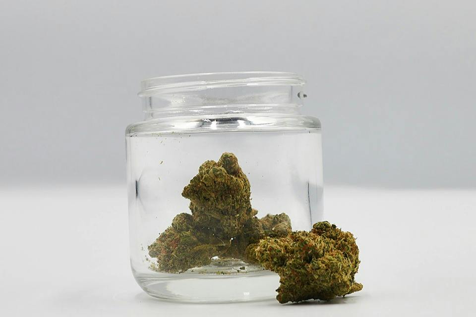 Diplomat | Sinmint x Jet Fuel #1 3.5g