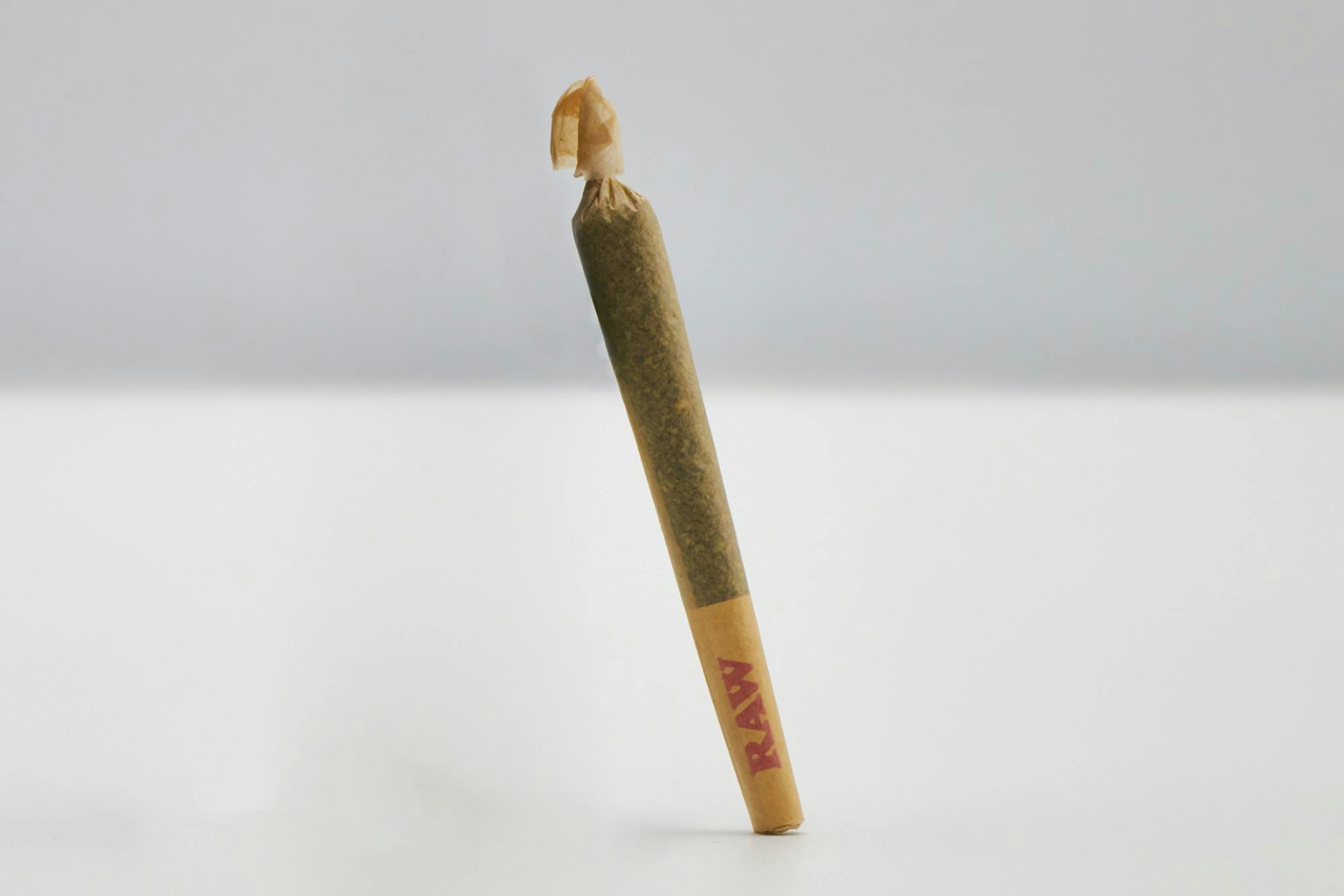 Diplomat | Blueberry French Toast Preroll 1g